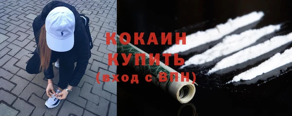 индика Волоколамск