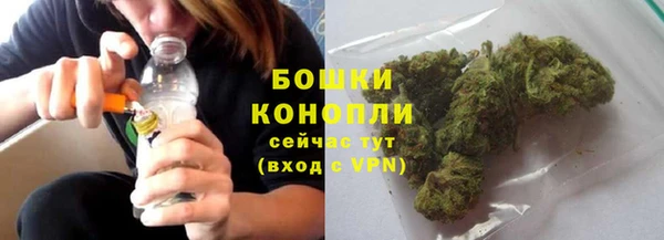 круглые Вяземский