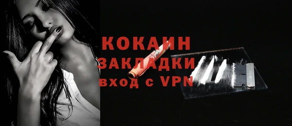 индика Волоколамск