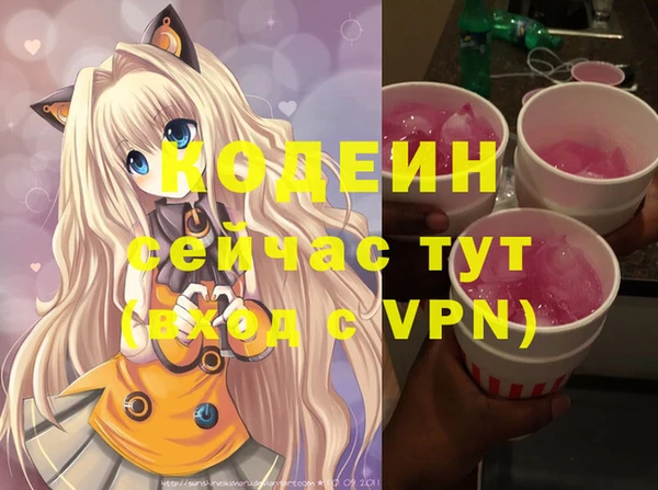 индика Волоколамск