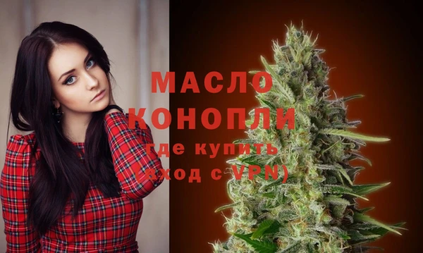 индика Волоколамск