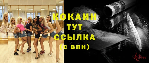 индика Волоколамск
