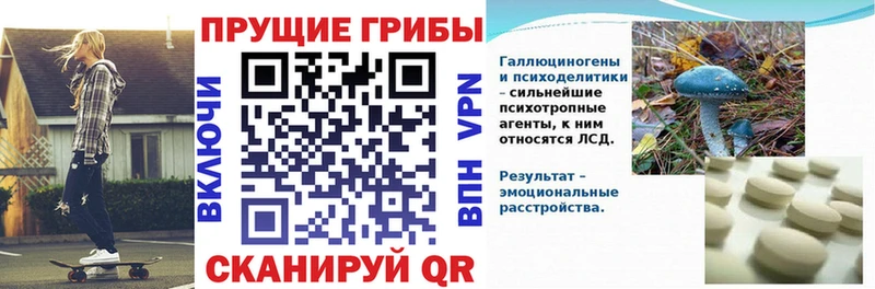 это телеграм Новоржев Галлюциногенные грибы ЛСД
